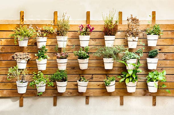 Imagen de ¿Te encantan las plantas pero tienes poco lugar?