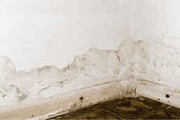 Evita la humedad en tu hogar en temporada de lluvias.