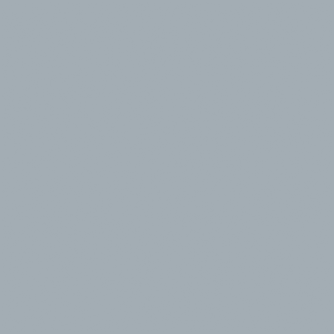 Color 285090 - Gris