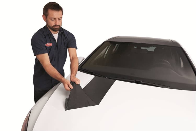 Imagen 313529 img2.jpg