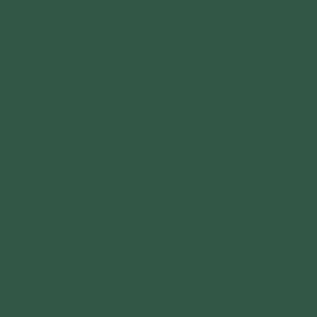 Color 322635 - Verde Mate