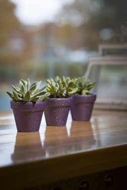 5e74d60c38c86_glitter1.jpg miniatura