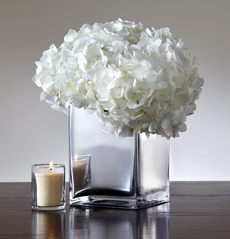 Imagen 5e74ee6802ed7_mirroreffect1.jpg