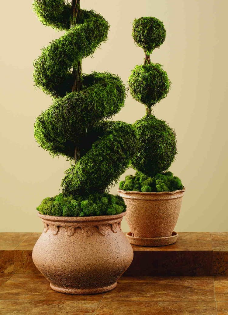 Imagen 5e750408c8966_stone1.jpg