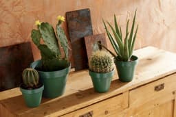 5ed3c87264dcc_ptogreenbeauty.jpg miniatura