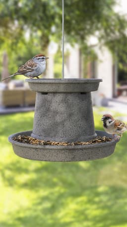 5ed3e5d09926b_stone7.jpg miniatura