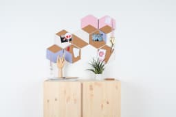 5fa02cf4c3ca3_corcho-uc2x5.jpg miniatura