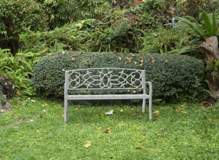 Imagen 60393e471a53d_plata3.png