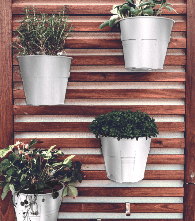 Imagen 6039416355bad_niquel2.png