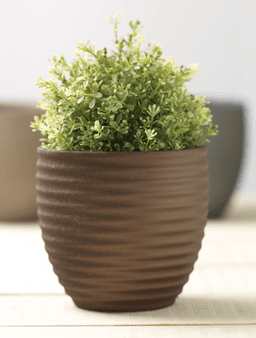 60394921ae5f2_texturado-marron.png miniatura