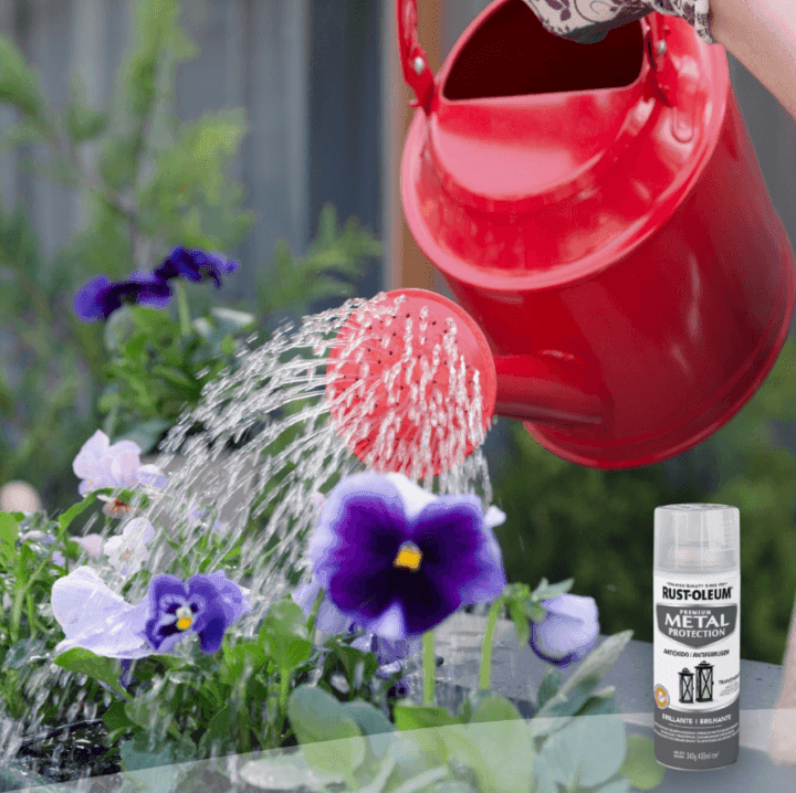 Imagen 60394a35695c4_transparente.png