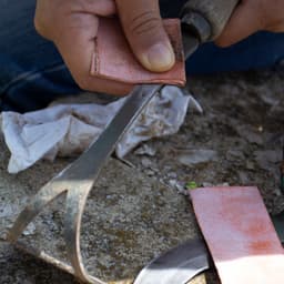 64da8d057bf49_7263-ls1.jpg miniatura