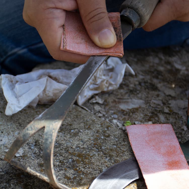 Imagen 64da91b616a96_7263-ls1.jpg