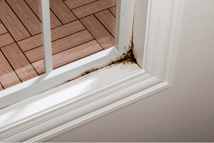 Imagen 652ee848f420c_moldblocking.png