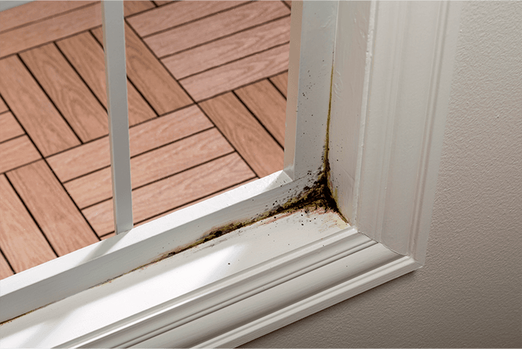 Imagen 652ee84952514_moldblocking2.png