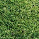 imagen que hace referencia a las superficie grama