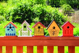 5e9dfb42bd7aa_birdhouseswood.jpg miniatura