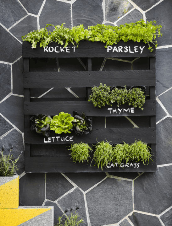 Imagen 603d3bbeee235_cb-b-negro.png