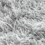 Alfombra