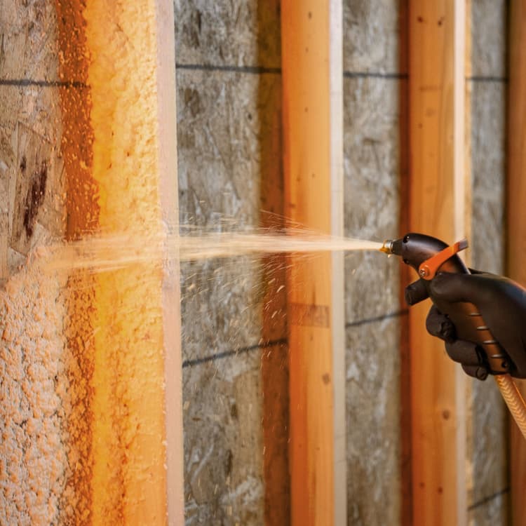 Imagen TNFP_WideSpray_AppShot271_Wall_00351_6x6.jpg