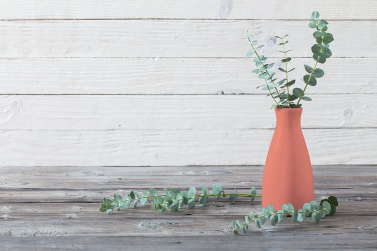 Imagen 5e7e62c939ca4_chalkedsalmonclaro6.jpg