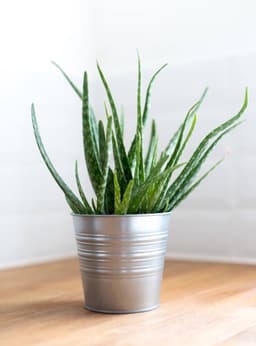 5e8209a91dbba_272126metalprotectiongalvanizado2.jpg miniatura