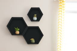 5e876665ccd95_358293ucesmaltealaguanegrocanonsatinado3.jpg miniatura