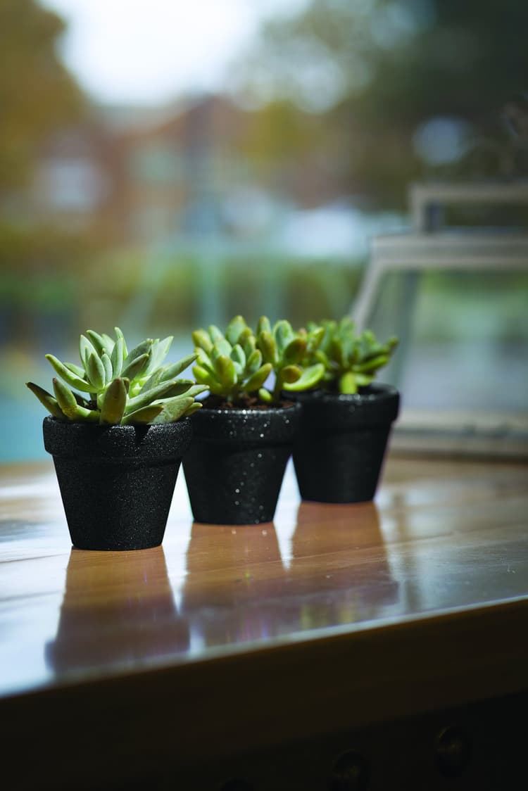 Imagen 5eb2c02cb30c9_glitterblackflowerpotsfinal.jpg