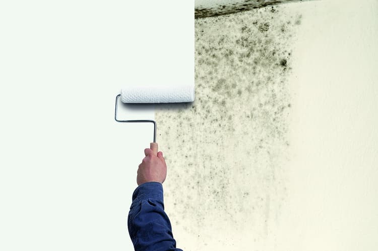 Imagen 5eb2dbb3ccce2_zinssermoldkilling1.jpg