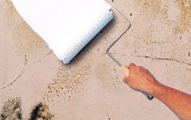 Imagen 5eb2dbb401d9f_zinssermoldkilling2.jpg