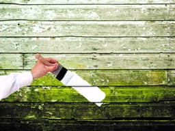 5eb2dbb41411a_zinssermoldkilling3.jpg miniatura