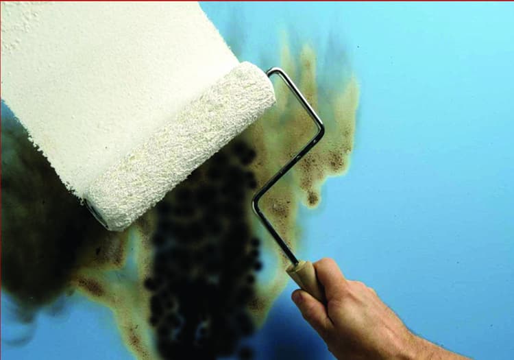 Imagen 5eb2de47be978_zinsserbin1.jpg