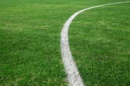 5ebd9af711fcb_206043aerosolathleticfieldblanco.jpg miniatura