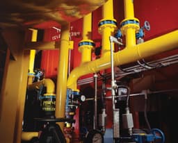 5ebec88e7e6bc_7400amarillo.jpg miniatura