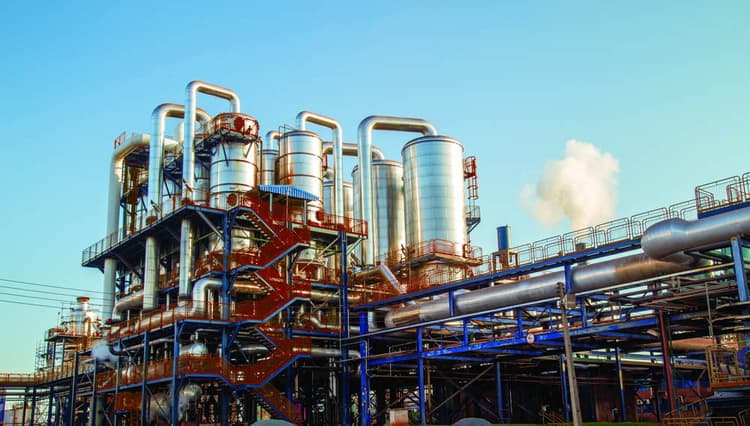 Imagen 5ebee3d0b1d24_3574959100baserojoreal1.jpg