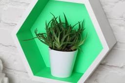 5ed3d38668bf7_272130-fluorescente-verde-3.jpg miniatura