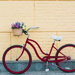 5ed3d8270d725_metalprotectionrojoclavel.jpg miniatura