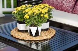 5ed3dd8f26d6b_245199245196spp01890818unioutdoorflowerpotsontableglossblackglosswhite044.jpg miniatura