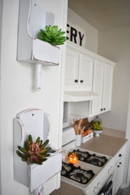 5ed3e75e6002c_blogultracover2xblossomwhitesucculentholders.jpg miniatura