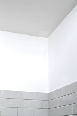 5ed414e8efe2f_287512par00601019znrmoldblockingprimersprayceilingafter065-1.jpg miniatura