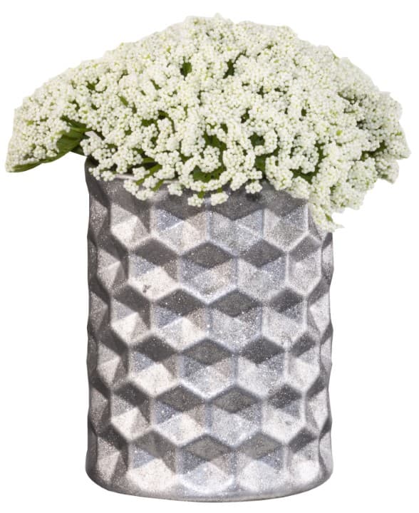 Imagen 5ed44818770c2_345699cah00080119imagineintenseglitterflowerpotheroitemsilver.jpg