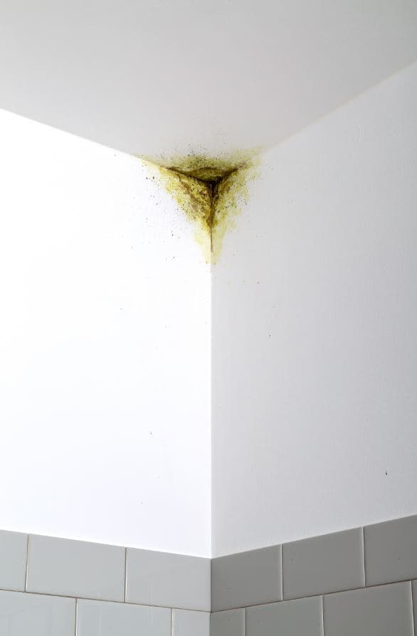 Imagen 5ed448f8d32d2_s.jpg