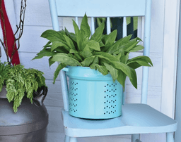 6039076dee784_turquesa-claro.png miniatura