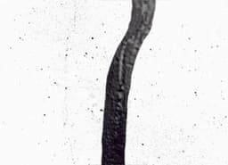 61fab8d5e39ae_srtleaksealcrackblack265494265495267970267976271441271442.jpg miniatura