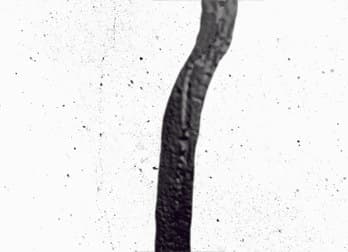 Imagen 61fab8d5e39ae_srtleaksealcrackblack265494265495267970267976271441271442.jpg