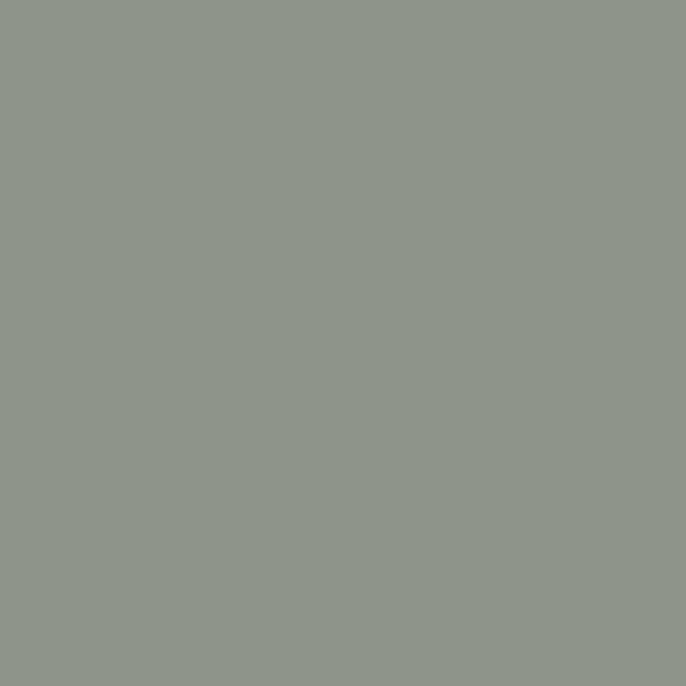 Color Gris Campestre