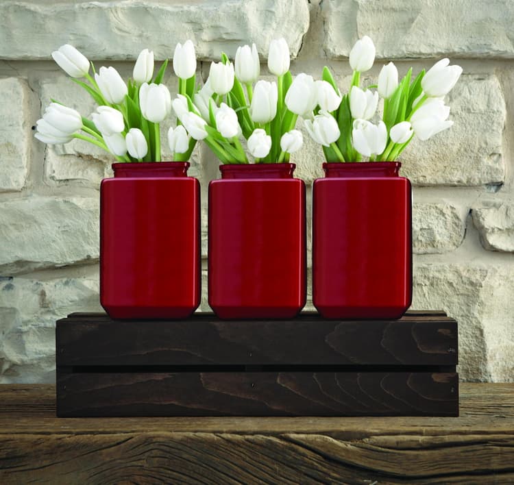 Imagen 5e81f4dddfefd_351521metalprotectionsatinadorojoframbuesa1.jpg