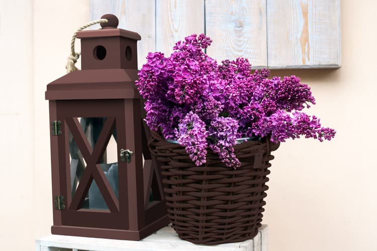 Imagen 5e8765a3981f0_358291ucesmaltealaguacafesatinado2.jpg